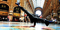 FLEXIBLE.MILAN
